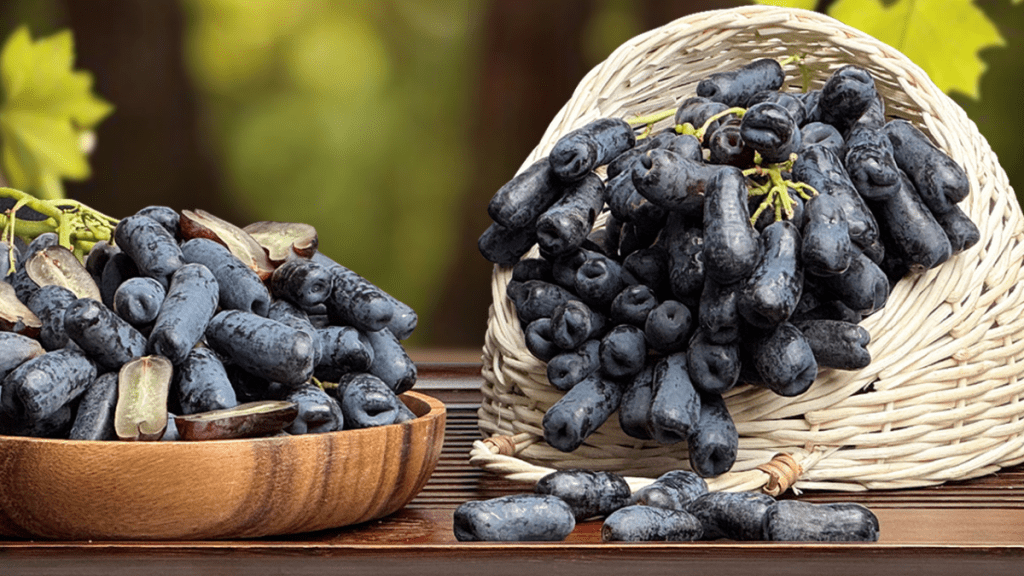 Popular Grape Varieties Loved by Customers in Japan| Green Grapes, Finger Grapes, and Nagano Grapes