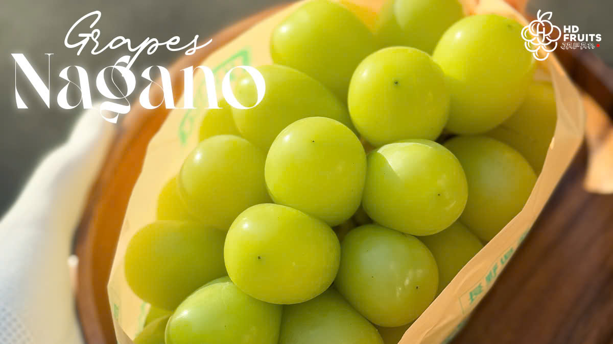 Popular Grape Varieties Loved by Customers in Japan| Green Grapes, Finger Grapes, and Nagano Grapes