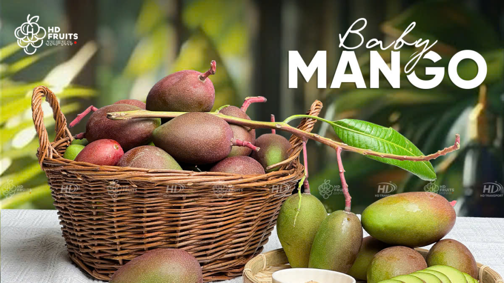 What Is Baby Mango in Japan? Where to Buy It, How Much It Costs, and the Best Ways to Eat It