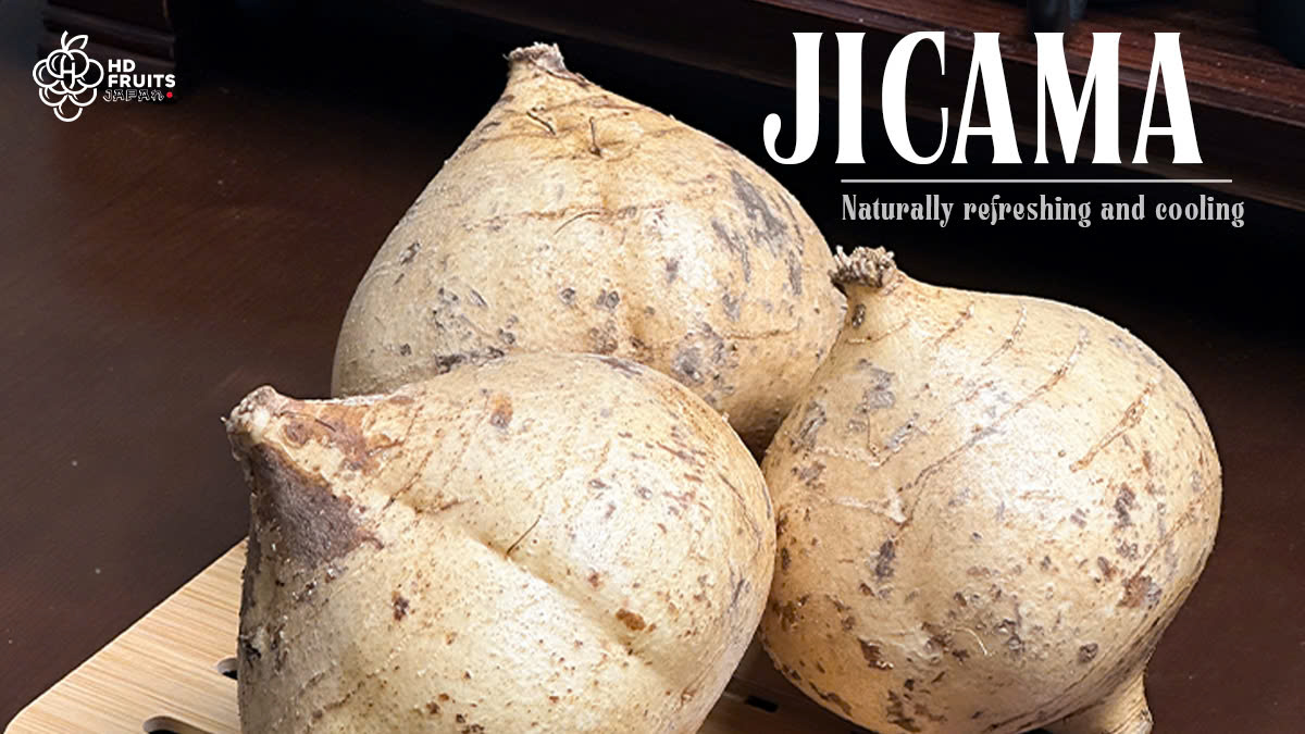 What Is Jicama in Japan? How Much It Costs, and the Best Ways to Eat It